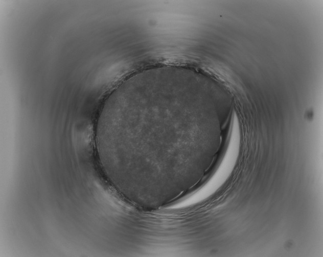 X0000092000748200709131514