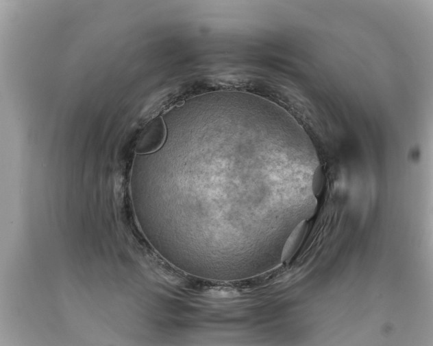 X0000092000749200709131514