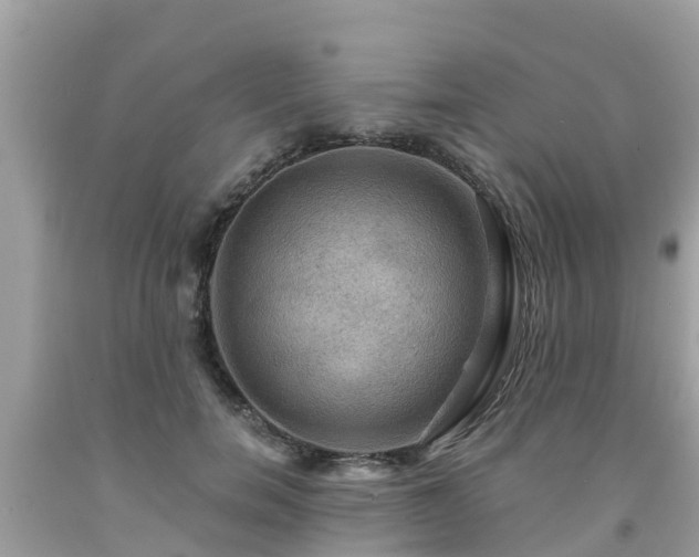 X0000092000750200709131514