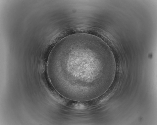 X0000092000751200709131514