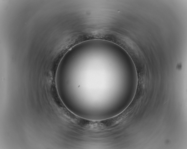 X0000092000752200709131514