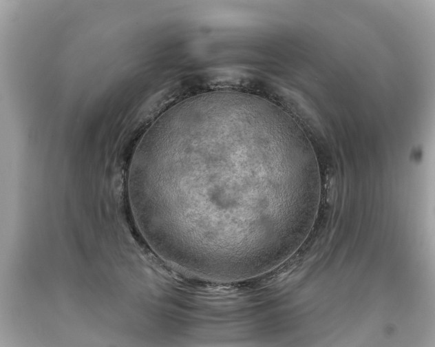 X0000092000753200709131514