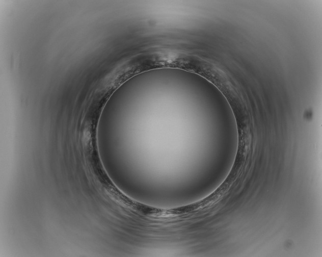 X0000092000754200709131514