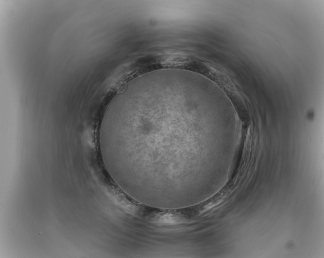 X0000092000755200709131514