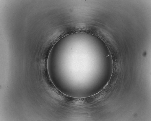 X0000092000756200709131514