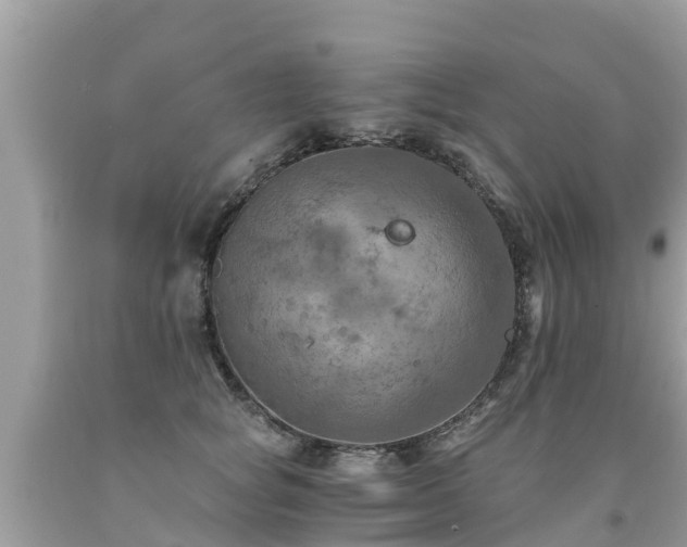 X0000092000757200709131514