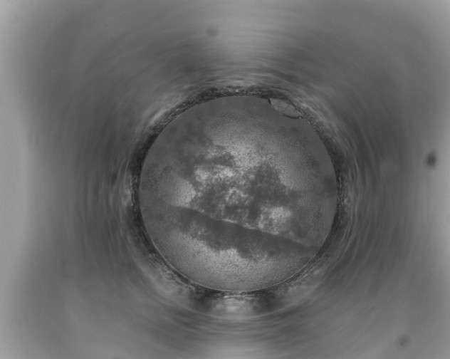 X0000092000758200709131514