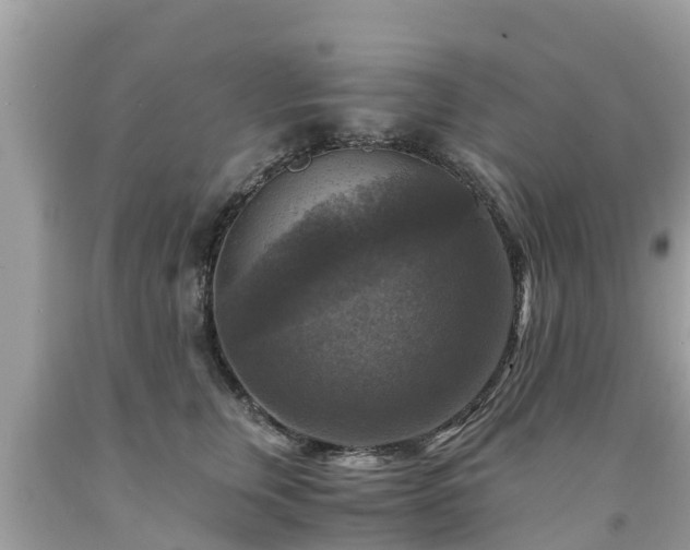 X0000092000759200709131514