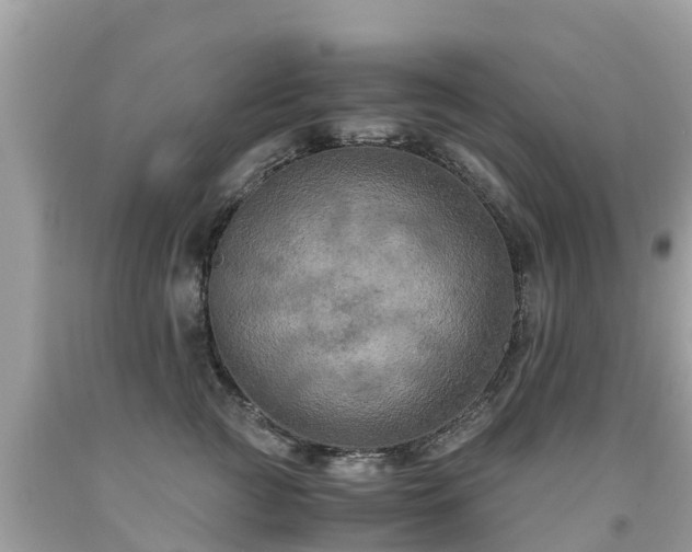 X0000092000761200709131514