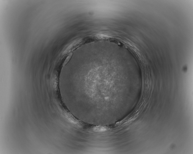 X0000092000762200709131514