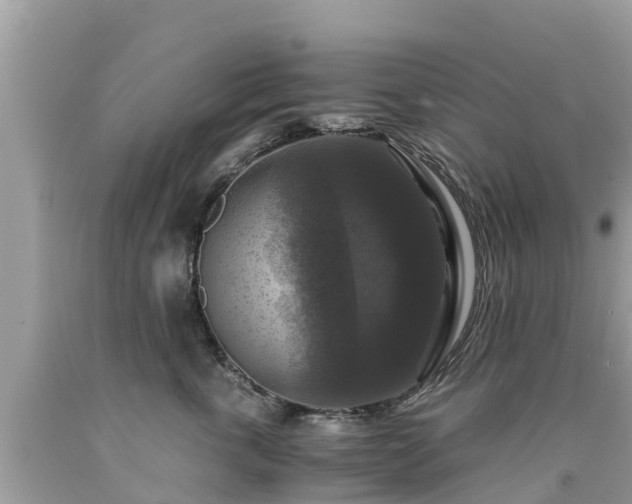 X0000092000763200709131514