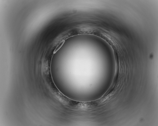 X0000092000764200709131514