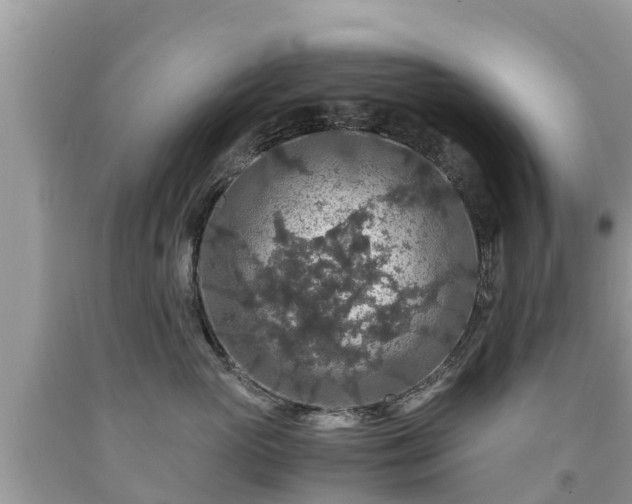 X0000092000765200709131514