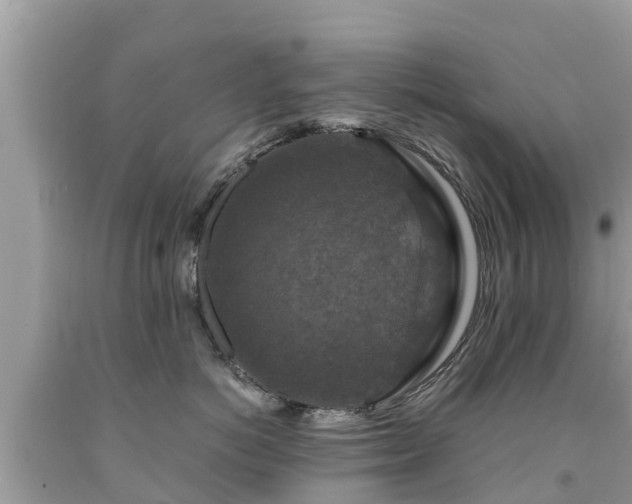 X0000092000766200709131514