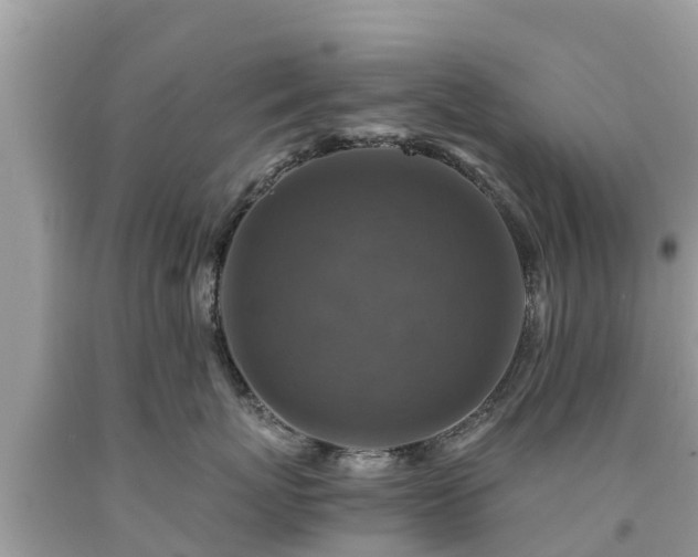 X0000092000767200709131514