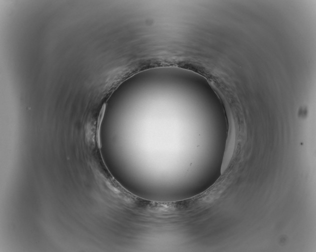 X0000092000768200709131514