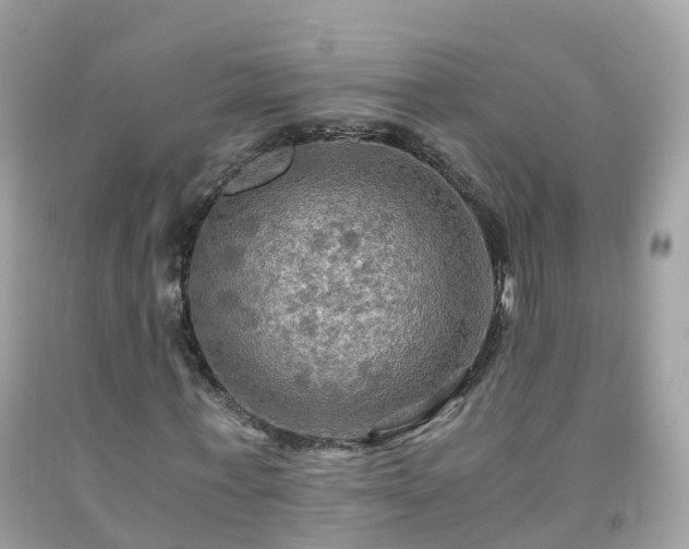 X0000092000771200709131513