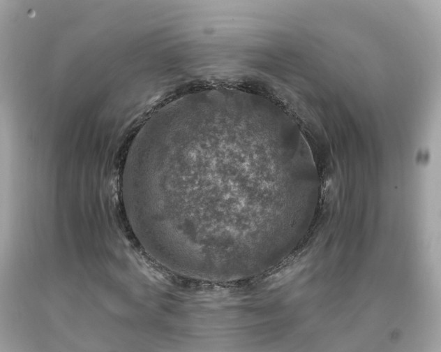 X0000092000772200709131513