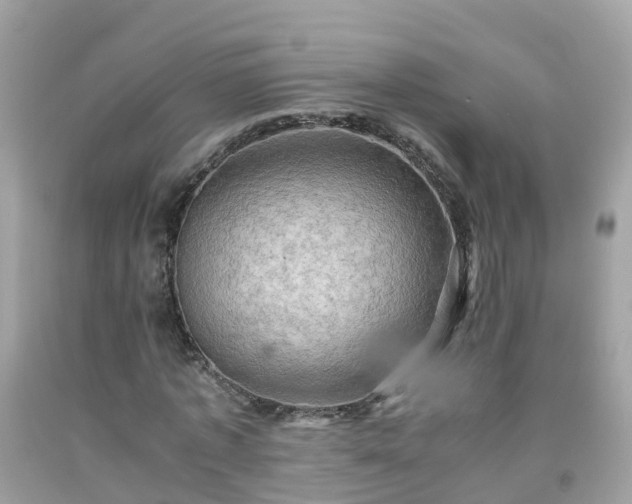 X0000092000773200709131513