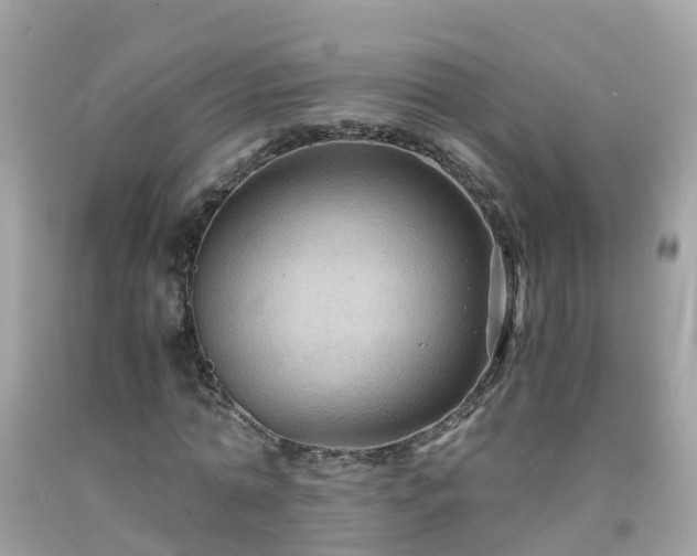 X0000092000774200709131513