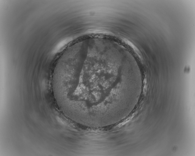 X0000092000775200709131513