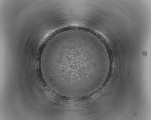 X0000092000776200709131513