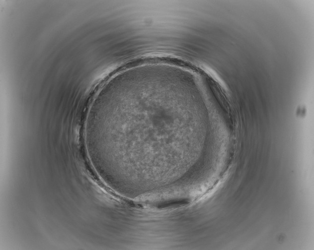 X0000092000777200709131513