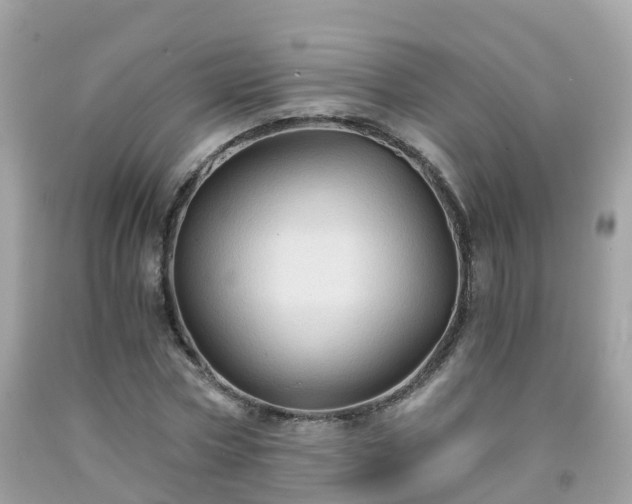 X0000092000778200709131513