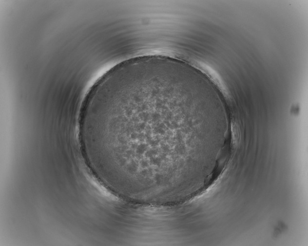 X0000092000780200709131513