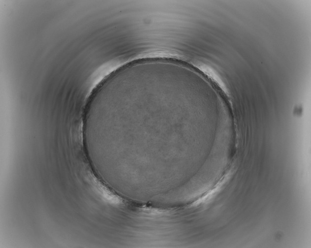 X0000092000781200709131513