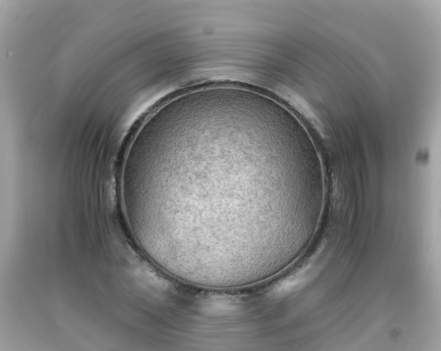 X0000092000782200709131513