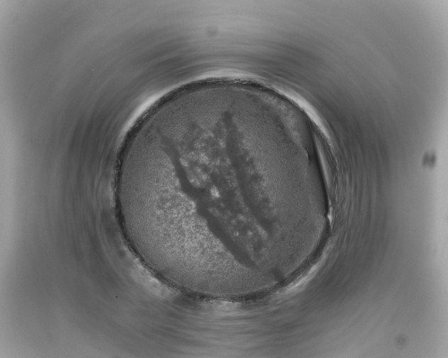 X0000092000783200709131513