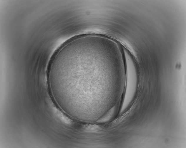 X0000092000784200709131513