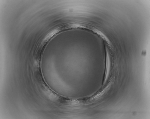 X0000092000785200709131513