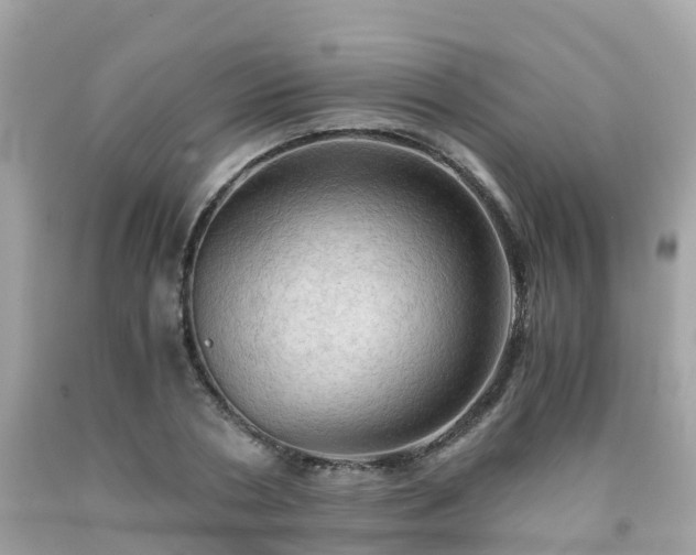 X0000092000786200709131513