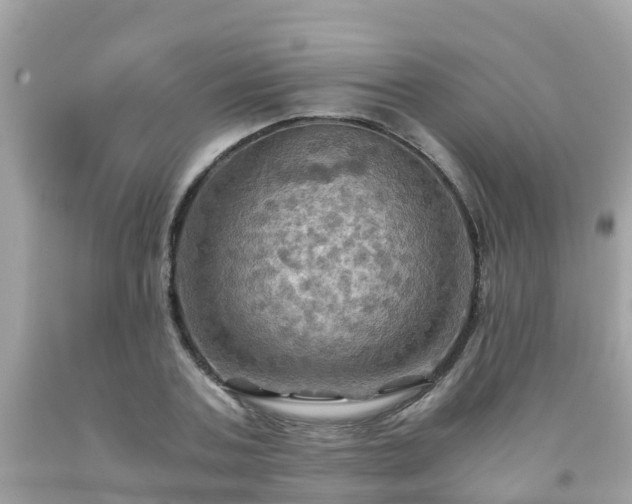 X0000092000787200709131513