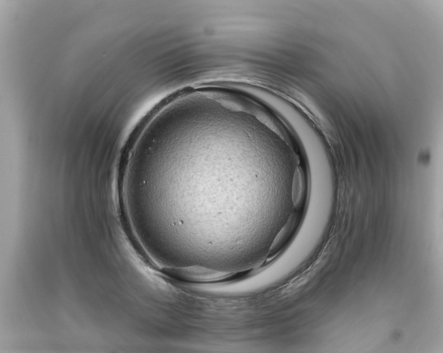 X0000092000788200709131513