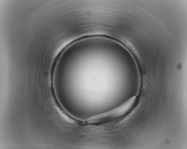 X0000092000789200709131513