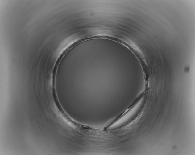 X0000092000790200709131513