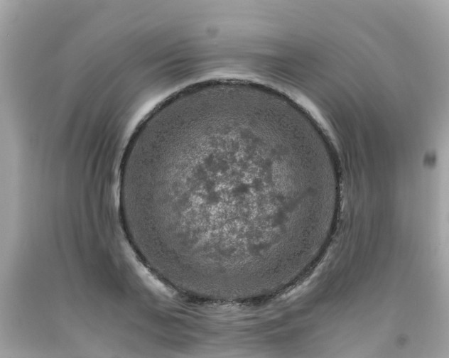 X0000092000791200709131513