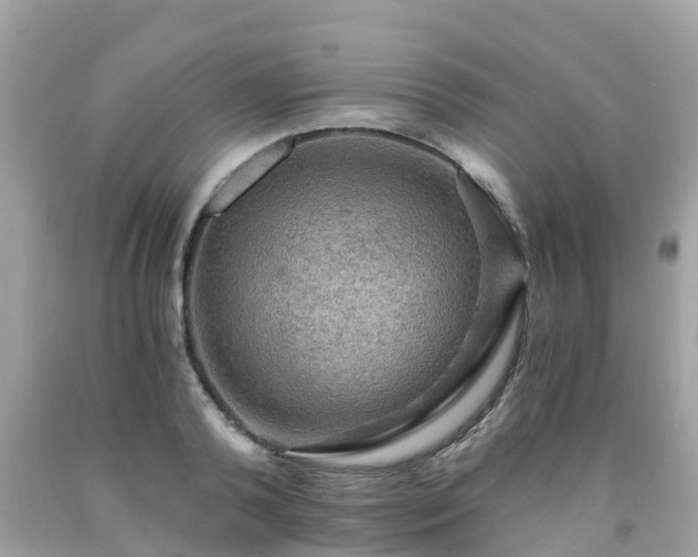 X0000092000792200709131513