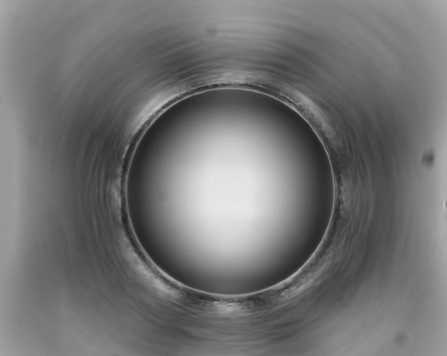 X0000092000794200709131513