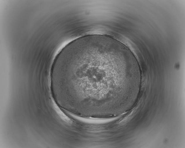 X0000092000795200709131513