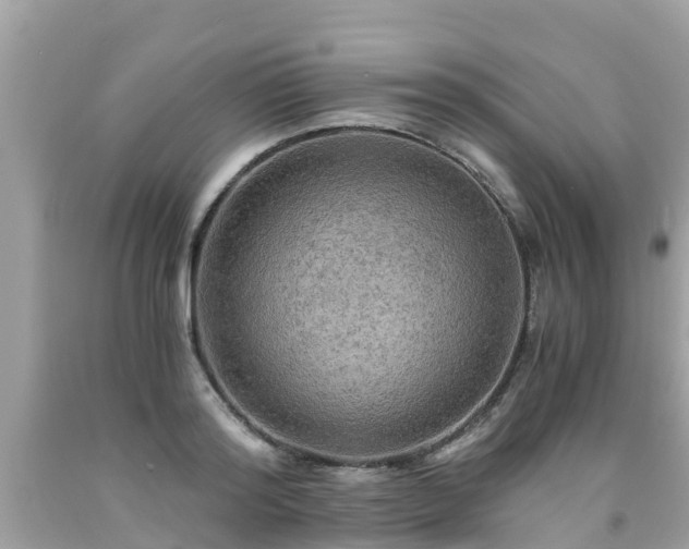 X0000092000796200709131513