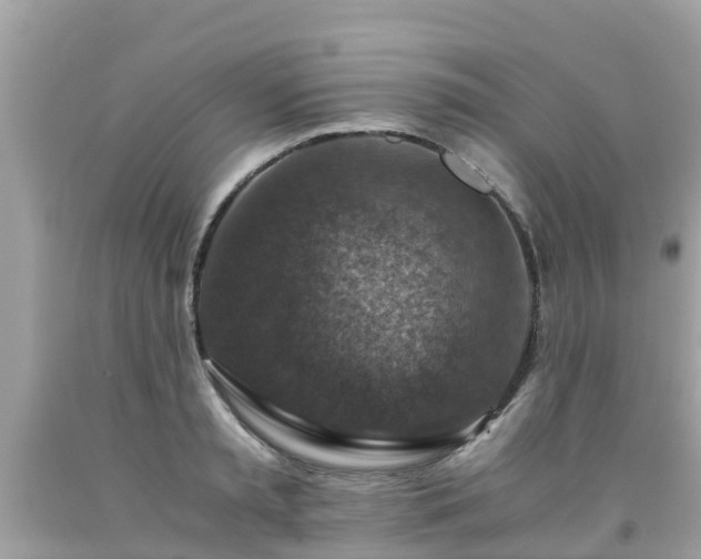 X0000092000797200709131513