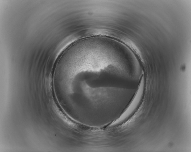 X0000092000798200709131513