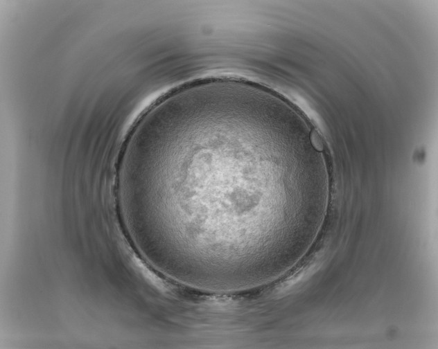 X0000092000799200709131513