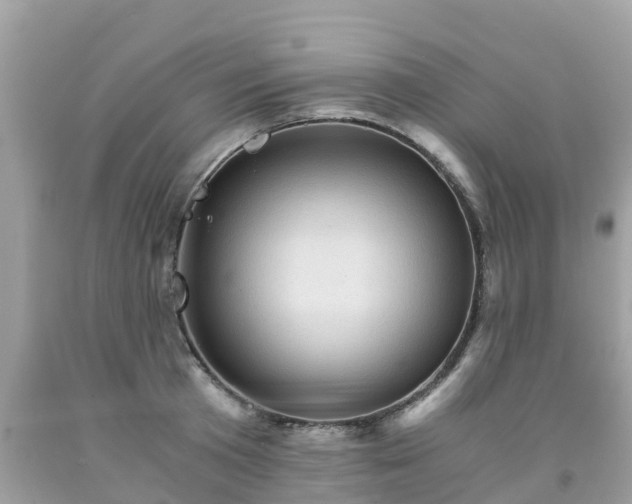 X0000092000801200709131513