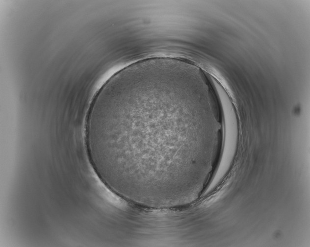 X0000092000803200709131513