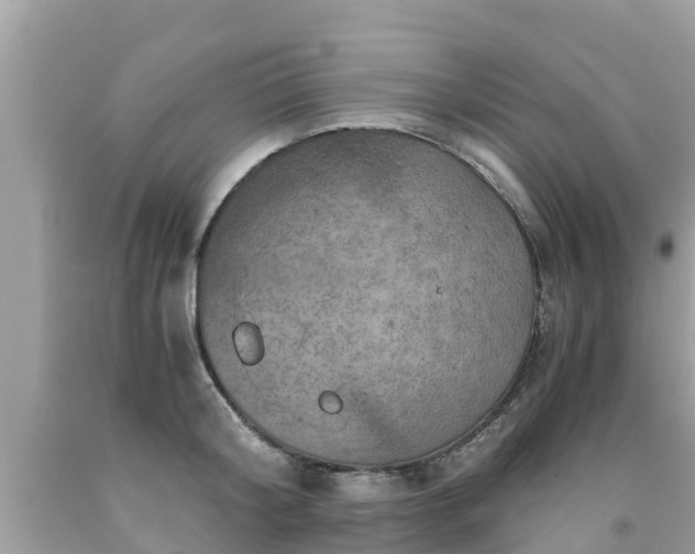 X0000092000804200709131513